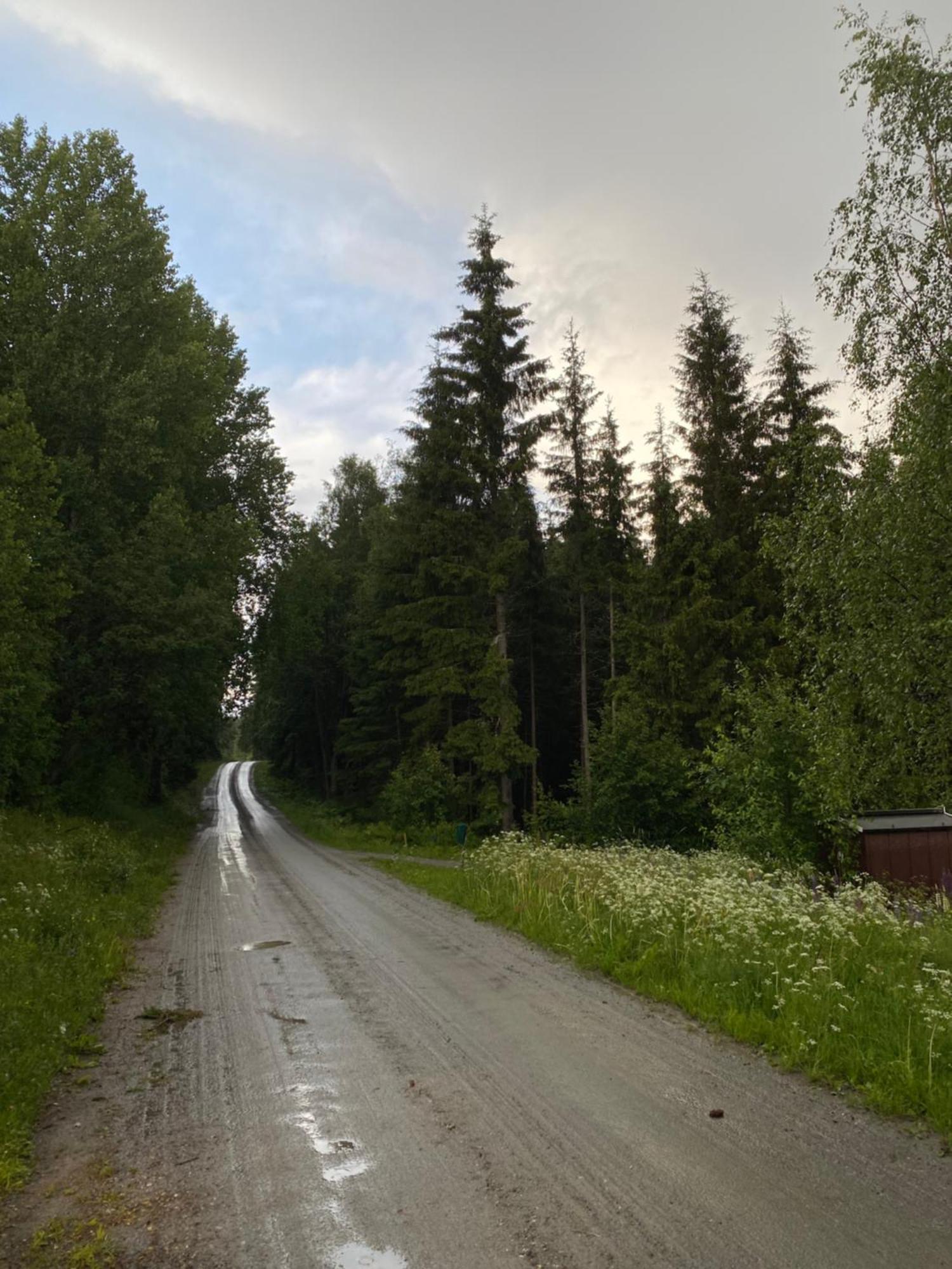 Koselig Hytte I Sverige 20 Minutter Fra Norskegrensen Ostervallskog Töcksfors Zewnętrze zdjęcie