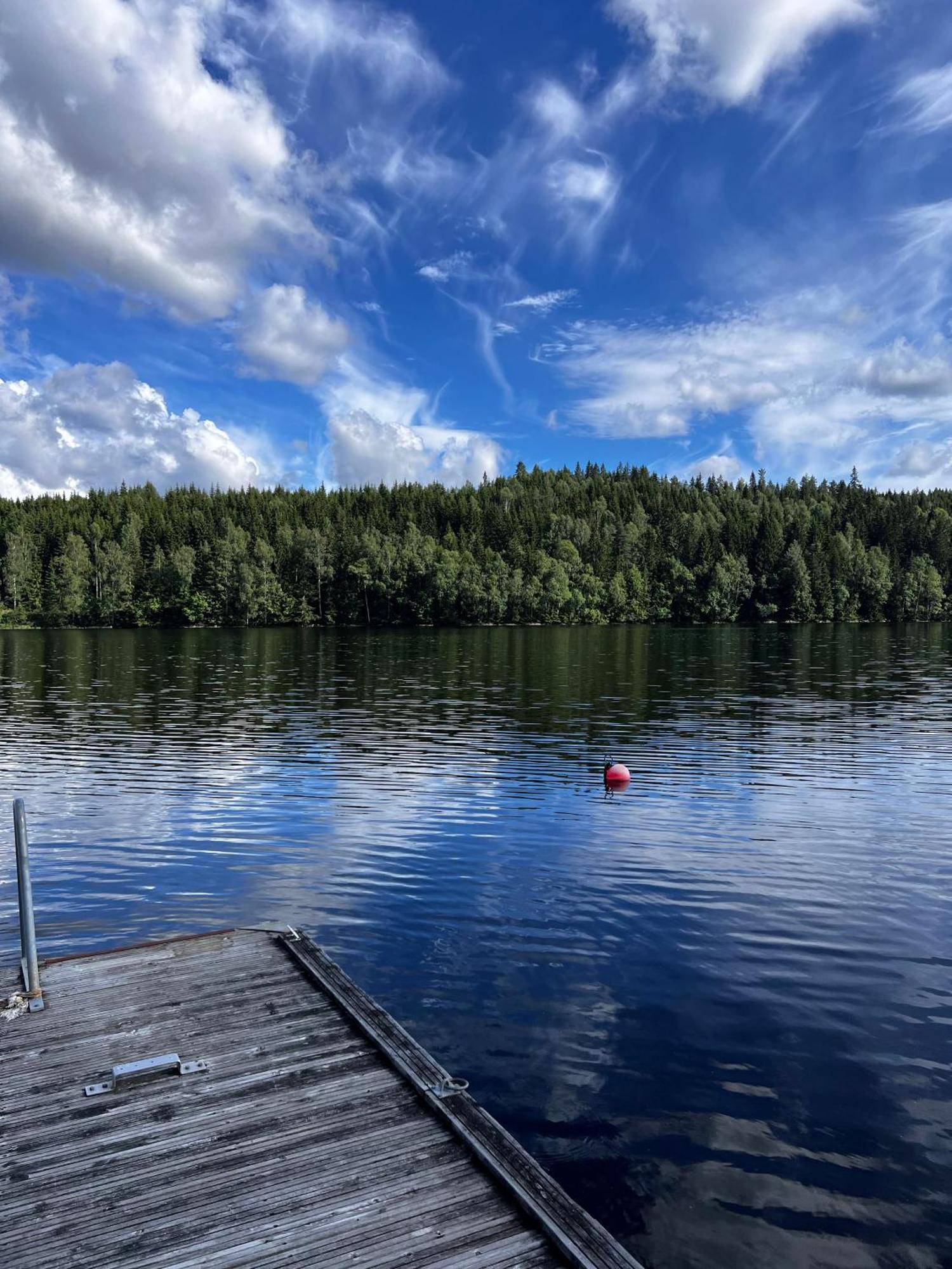Koselig Hytte I Sverige 20 Minutter Fra Norskegrensen Ostervallskog Töcksfors Zewnętrze zdjęcie