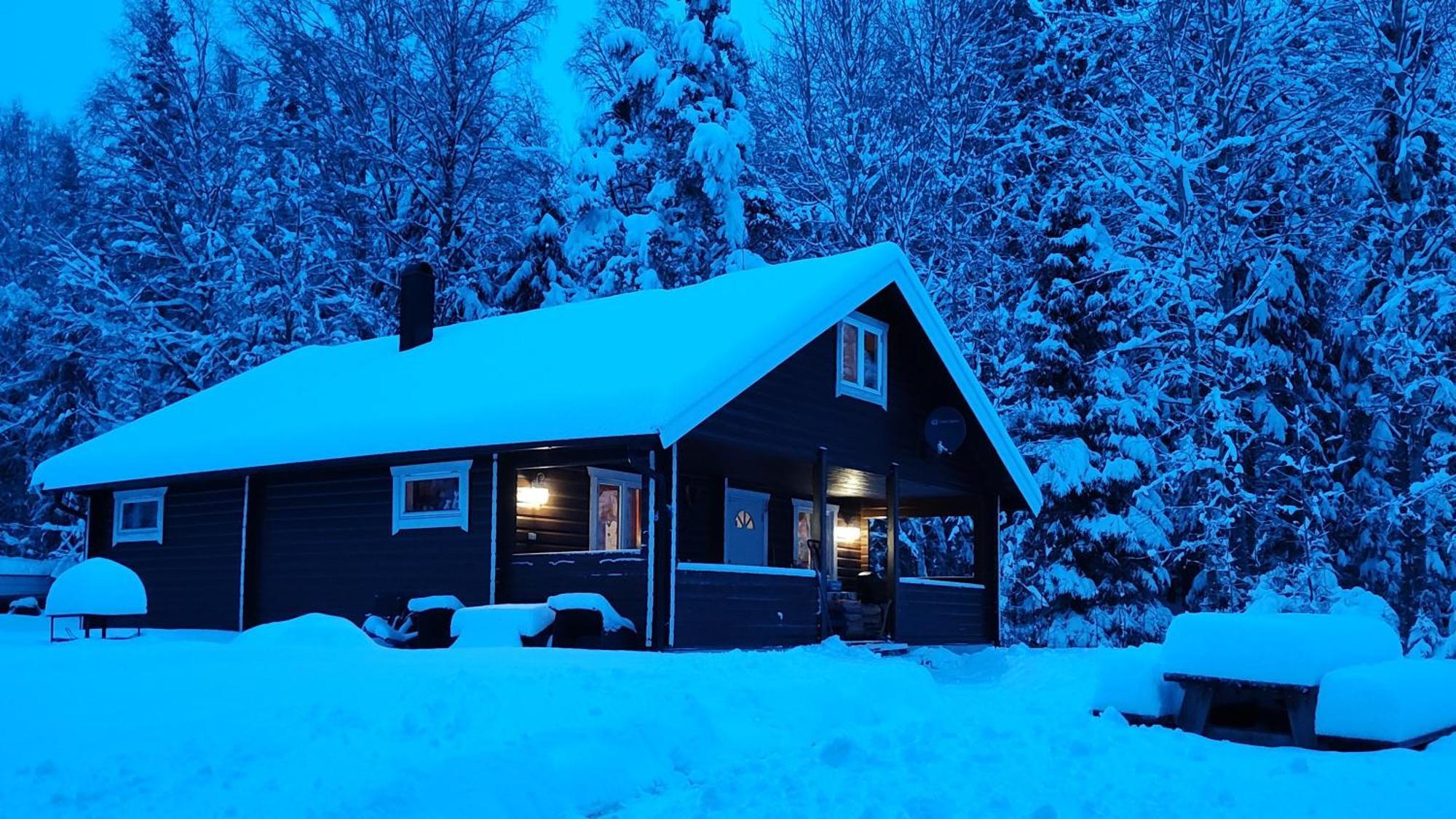 Koselig Hytte I Sverige 20 Minutter Fra Norskegrensen Ostervallskog Töcksfors Zewnętrze zdjęcie