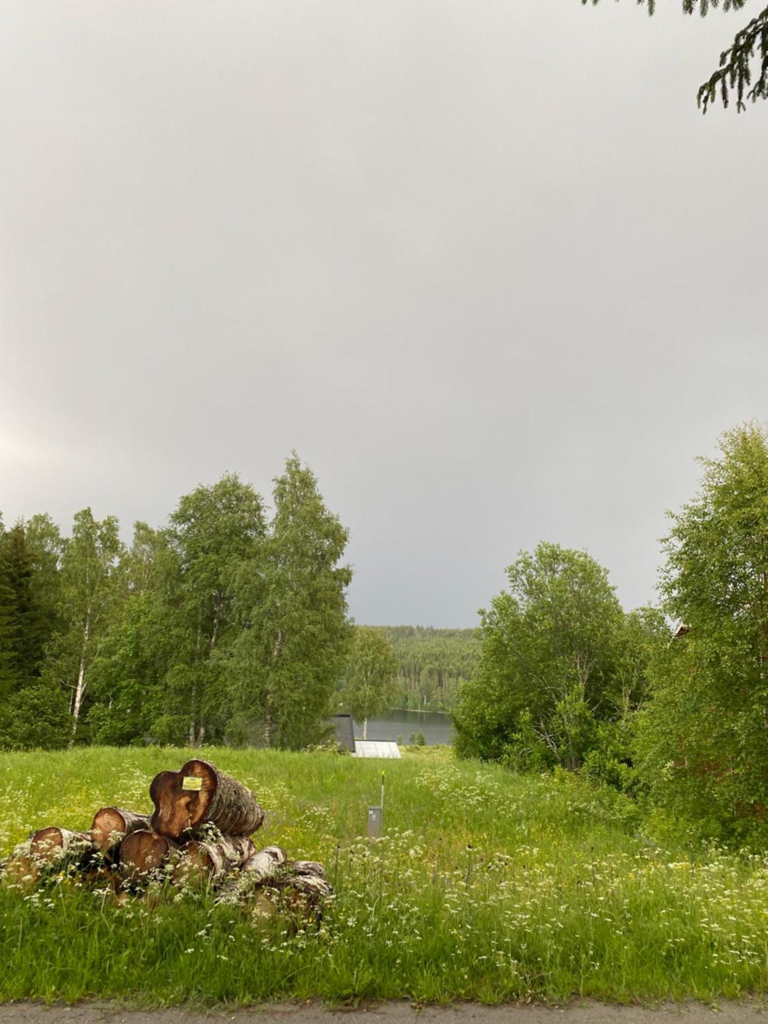 Koselig Hytte I Sverige 20 Minutter Fra Norskegrensen Ostervallskog Töcksfors Zewnętrze zdjęcie