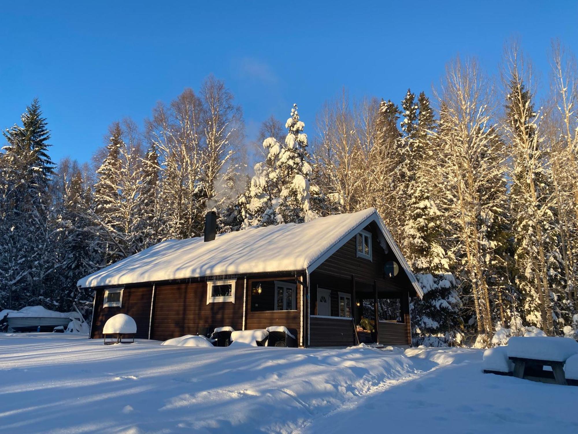 Koselig Hytte I Sverige 20 Minutter Fra Norskegrensen Ostervallskog Töcksfors Zewnętrze zdjęcie